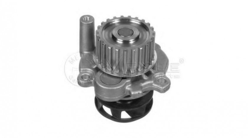 Pompa apa motor Audi AUDI A4 Avant (8ED, B7) 2004-2008 #2 06A121011C