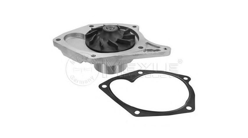 Pompa apa motor Dacia DUSTER 2010-2016 #2 10839031