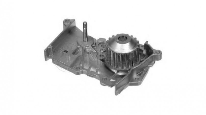 Pompa apa motor Dacia LOGAN EXPRESS (FS_) 2009-2016 #2 10724A