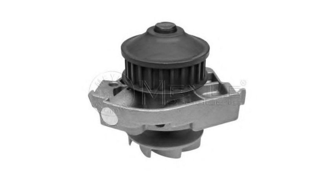 Pompa apa motor Fiat ALBEA (178_) 1996-2009 #2 10739