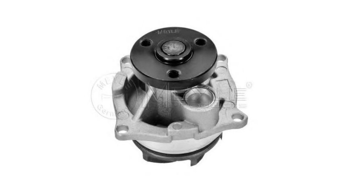 Pompa apa motor Ford FOCUS (DAW, DBW) 1998-2007 #2 1053879