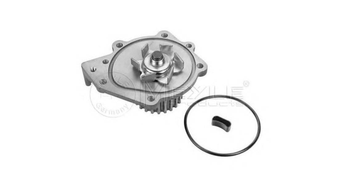 Pompa apa motor Land Rover FREELANDER (LN) 1998-2006 #2 10427