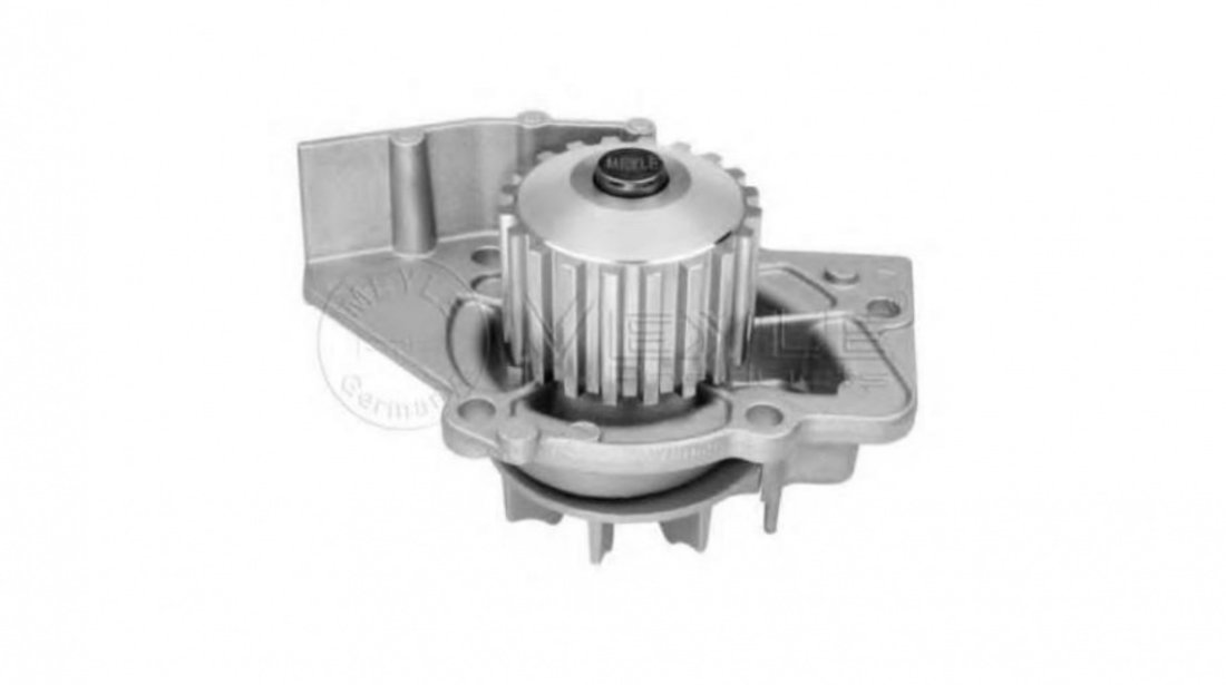 Pompa apa motor Peugeot 206 hatchback (2A/C) 1998-2016 #2 10747