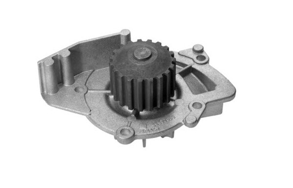 Pompa apa PEUGEOT EXPERT platou / sasiu (2007 - 2016) QWP WWP029 piesa NOUA