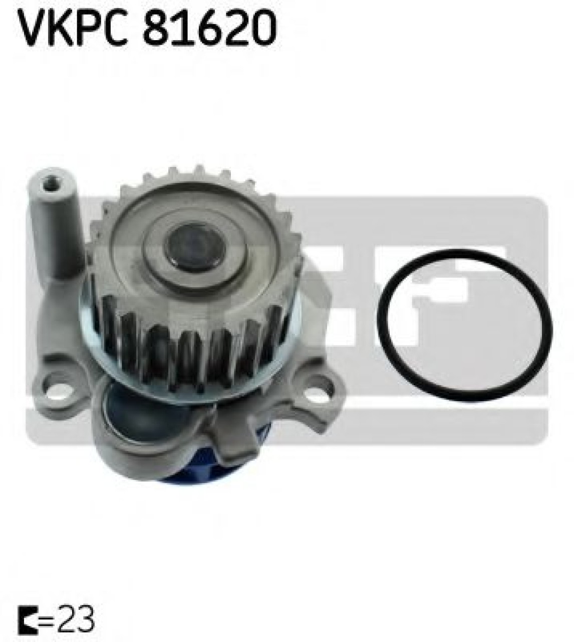 Pompa apa SEAT IBIZA IV (6L1) (2002 - 2009) SKF VKPC 81620 piesa NOUA