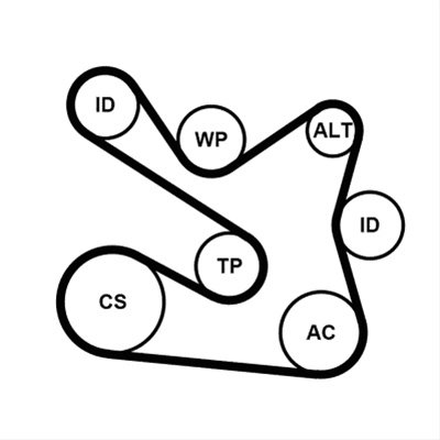 Pompa Apa/set Curea Trsm. Canel. Continental Contitech 7PK1605WP1