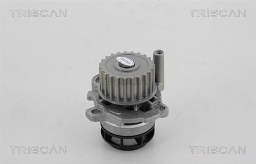 Pompa Apa Triscan Audi 8600 29047