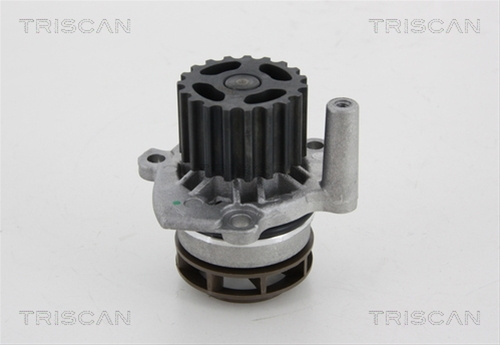 Pompa Apa Triscan Audi 8600 29048