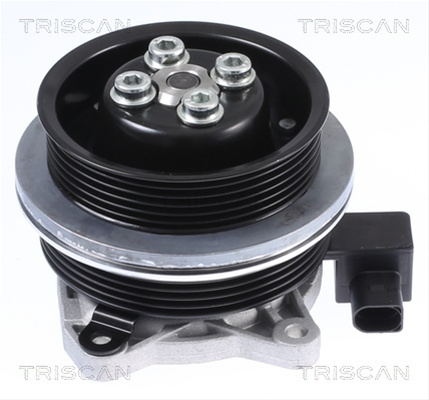 Pompa Apa Triscan Audi 8600 29062
