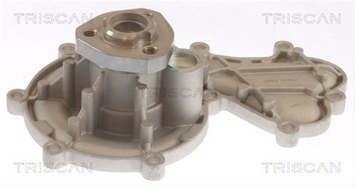 Pompa Apa Triscan Audi 8600 29096