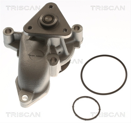 Pompa Apa Triscan Hyundai 8600 43013