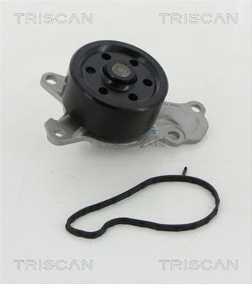 Pompa Apa Triscan Peugeot 8600 10039