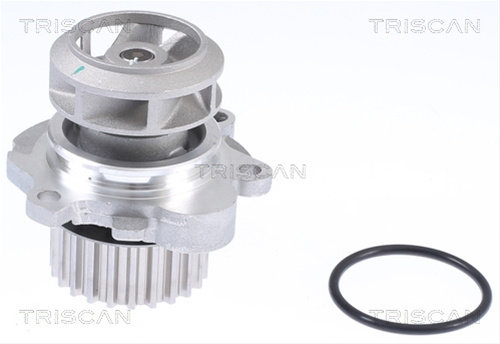 Pompa Apa Triscan Seat 8600 29012