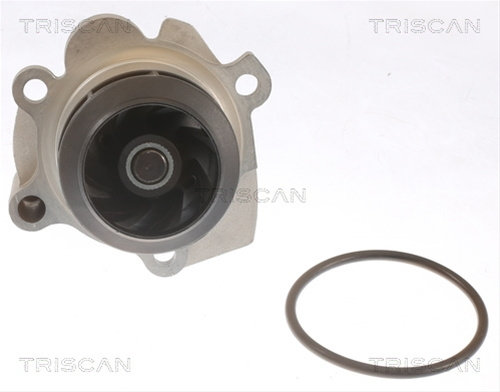 Pompa Apa Triscan Seat 8600 29041