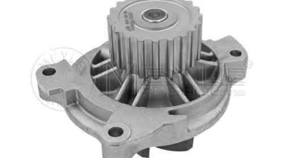 pompa apa VW CRAFTER 30-50 platou / sasiu (2F_) MEYLE 113 220 0022