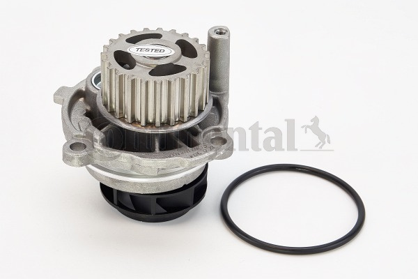 Pompa apa (WP6010 CONTITECH) AUDI,SEAT,SKODA,VW