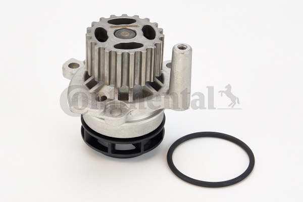 Pompa apa (WP6072 CONTITECH) AUDI,SEAT,SKODA,VW