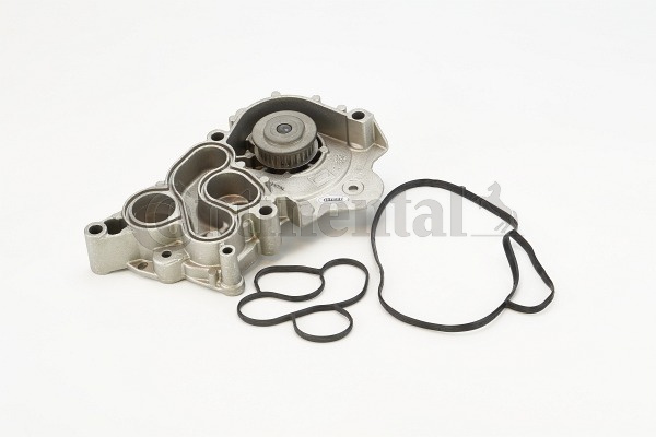 Pompa apa (WP6095 CONTITECH) AUDI,SEAT,SKODA,VW