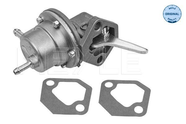 Pompa combustibil (1001270003 MEYLE) AUDI,VW