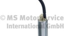 Pompa combustibil BMW X3 (F25) (2010 - 2016) PIERB...