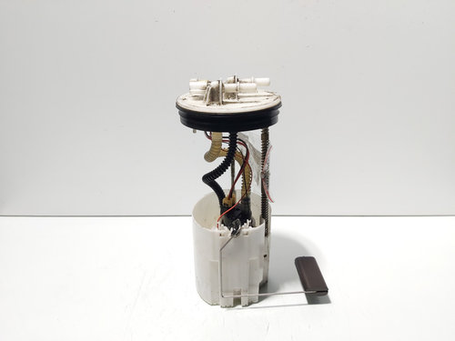 Pompa combustibil rezervor, cod 17040BB50A, Nissan Qashqai, 1.6 DCI, R9M402 (id:670101)