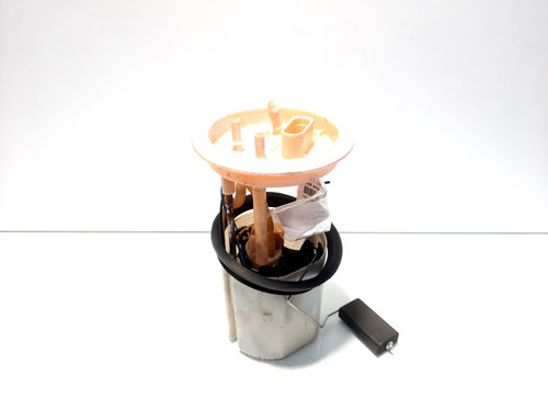 Pompa combustibil rezervor, cod 1K0919050AB, Vw Golf 6 Plus, 2.0 TDI, BMM (idi:517362)