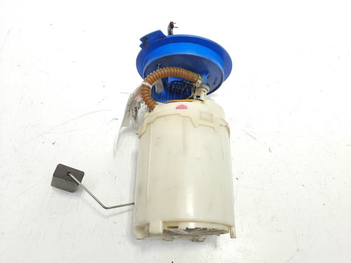 Pompa combustibil rezervor, cod 1K0919051AE, Vw Golf 5 (1K1) 1.6 fsi, BLP (id:298457)