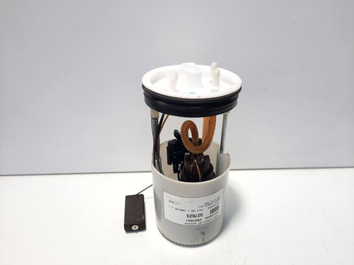 Pompa combustibil rezervor, cod 6R0919051, Vw Polo (6R) 1.2 benz, CGP (id:527623)