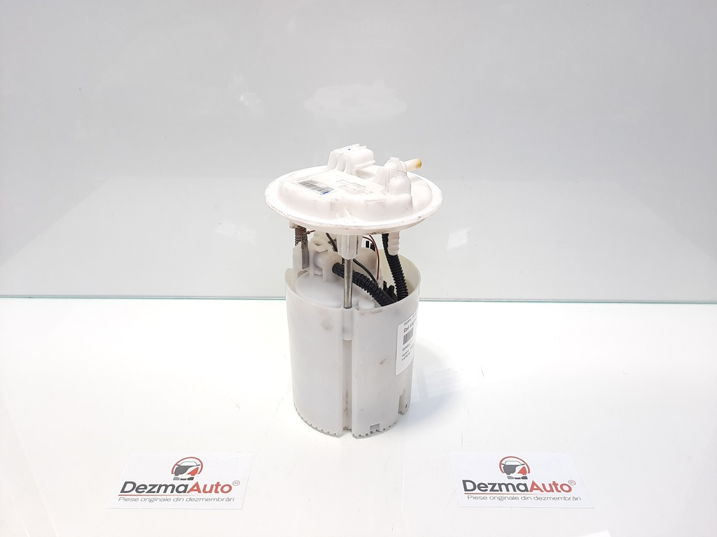Pompa combustibil rezervor, Renault Megane 3 [Fabr 2008-2015] 1.6 B, K4M838, 172020029R (id:433517)