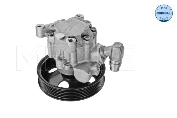 Pompa hidraulica, sistem de directie (0146310003 MEYLE) MERCEDES-BENZ
