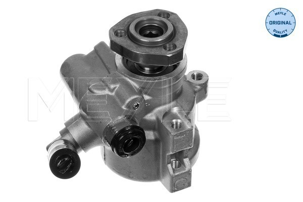 Pompa hidraulica, sistem de directie (1146310013 MEYLE) VW