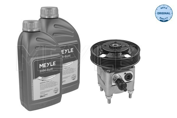 Pompa hidraulica, sistem de directie (5146310021S MEYLE) FORD,VOLVO