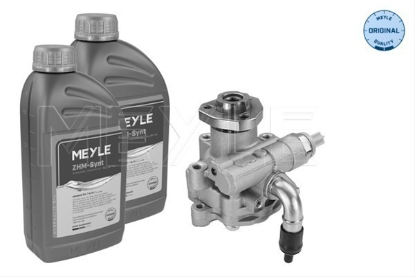 Pompa Hidraulica Sistem De Directie Meyle Seat 114 631 0041/S
