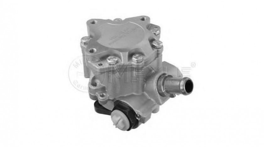 Pompa servo Audi AUDI A4 Cabriolet (8H7, B6, 8HE, B7) 2002-2009 #2 04130305