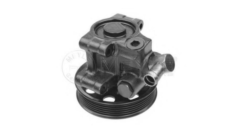 Pompa servo Ford FOCUS Clipper (DNW) 1999-2007 #2 04051140