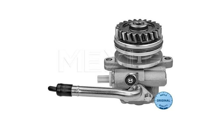 Pompa servo Volkswagen VW MULTIVAN Mk V (7HM, 7HN, 7HF, 7EF, 7EM, 7EN) 2003-2016 #2 54276