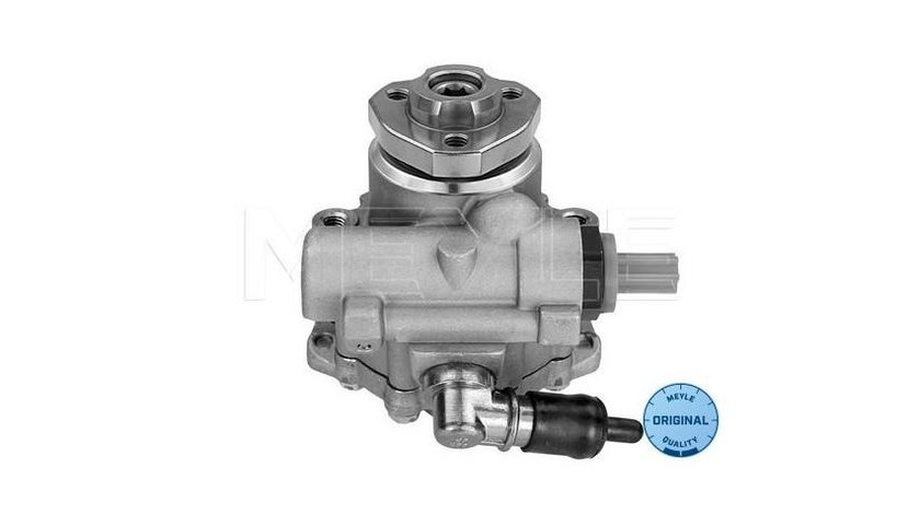 Pompa servo Volkswagen VW MULTIVAN Mk V (7HM, 7HN, 7HF, 7EF, 7EM, 7EN) 2003-2016 #2 150265