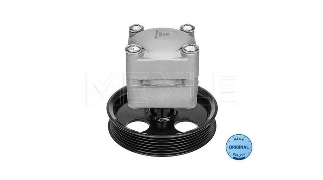 Pompa servo Volvo V70 Mk II (SW) 2000-2007 #2 04880300