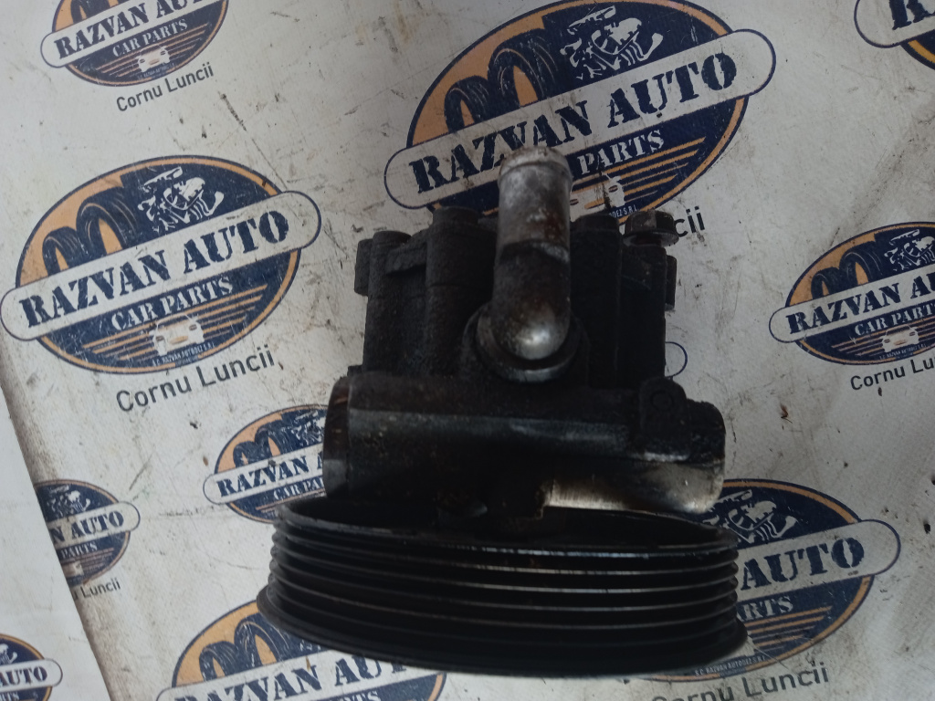 Pompa servodirectie Dacia Duster 2013, 491105510R