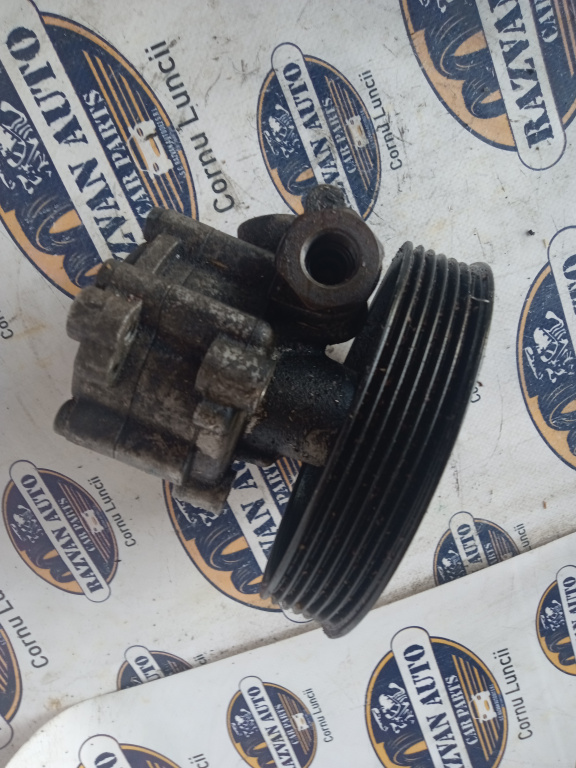 Pompa servodirectie Dacia Duster 2013, 491105510R