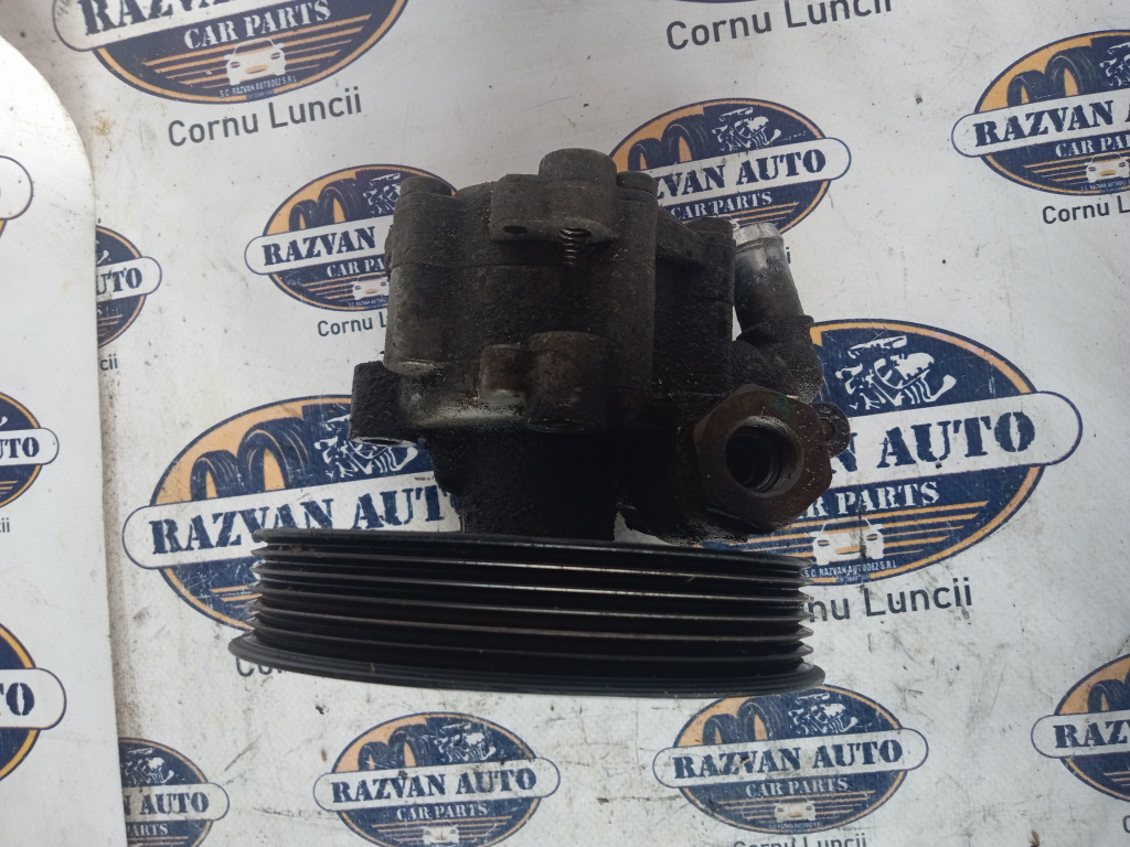 Pompa servodirectie Dacia Duster 2013, 491105510R