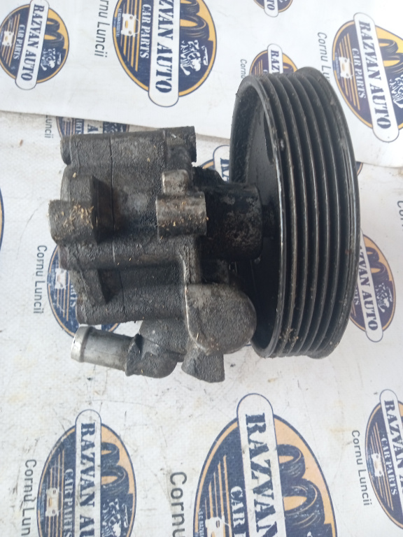 Pompa servodirectie Dacia Duster 2013, 491105510R