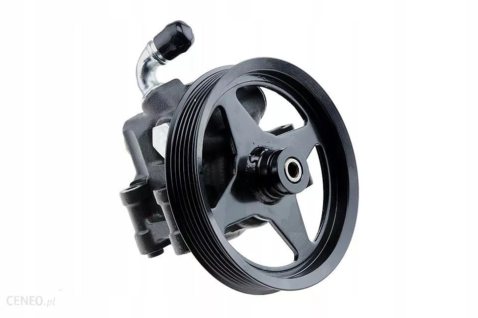 Pompa servodirectie Ford Mustang 05-10