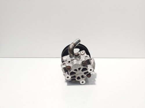 Pompa servodirectie , Ford Transit Connect (P65) 1.8 TDCI, R3PA (id:670690)