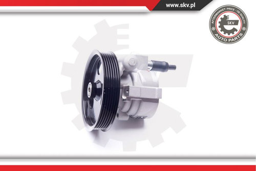 Pompa servodirectiei ; DACIA Duster NISSAN Kubistar RENAULT Clio Megane ; 8200888505