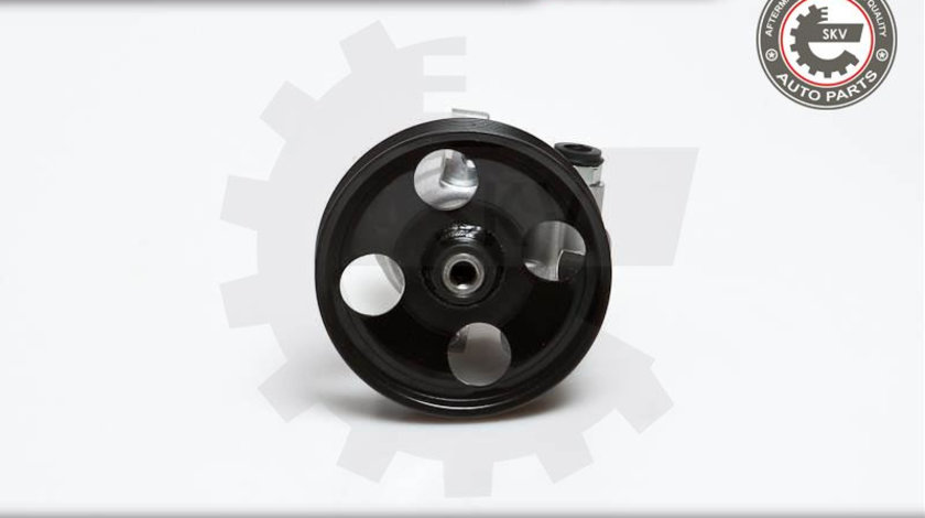 Pompa servodirectiei ; NISSAN Interstar Primera OPEL Vivaro RENAULT Laguna Master ; 8200024738