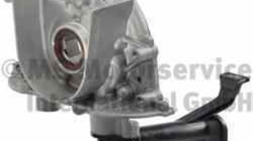 Pompa ulei VAUXHALL ASTRA Mk V (H) combi Producator PIERBURG 7.02166.01.0