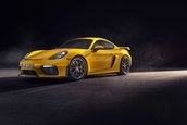 Porsche 718 Cayman GT4 si 718 Boxster Spyder