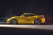 Porsche 718 Cayman GT4 si 718 Boxster Spyder