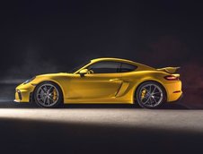 Porsche 718 Cayman GT4 si 718 Boxster Spyder